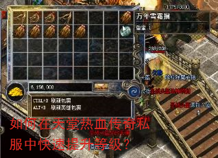 如何在天堂热血传奇私服中快速提升等级? 如何在天堂热血传奇私服中快速提升等级?
