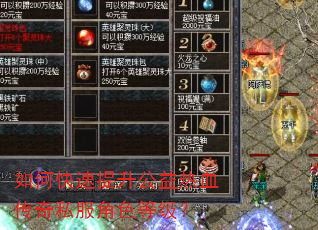 如何快速提升公益热血传奇私服角色等级? 如何快速提升公益热血传奇私服角色等级?