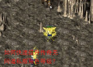 如何快速提升传奇无间道私服角色等级? 如何快速提升传奇无间道私服角色等级?