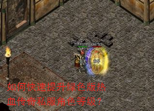 如何快速提升绿色版热血传奇私服角色等级? 如何快速提升绿色版热血传奇私服角色等级?