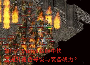 如何在Shaiya私服中快速提升角色等级与装备战力? 如何在Shaiya私服中快速提升角色等级与装备战力?