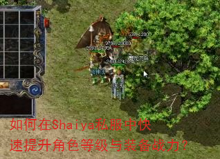 如何在Shaiya私服中快速提升角色等级与装备战力? 如何在Shaiya私服中快速提升角色等级与装备战力?