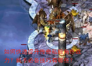 如何快速提升传奇私服角色战力?新手必备技巧有哪些? 如何快速提升传奇私服角色战力?新手必备技巧有哪些?