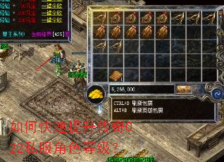 如何快速提升传奇022私服角色等级? 如何快速提升传奇022私服角色等级?