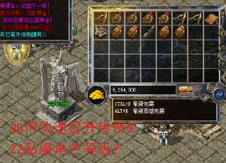如何快速提升传奇022私服角色等级? 如何快速提升传奇022私服角色等级?