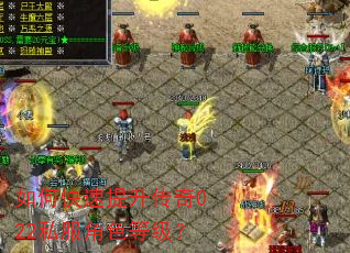 如何快速提升传奇022私服角色等级? 如何快速提升传奇022私服角色等级?