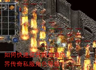 如何快速提升新仙魔九界传奇私服角色等级? 如何快速提升新仙魔九界传奇私服角色等级?