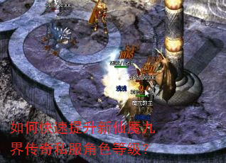 如何快速提升新仙魔九界传奇私服角色等级? 如何快速提升新仙魔九界传奇私服角色等级?
