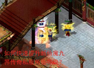 如何快速提升新仙魔九界传奇私服角色等级? 如何快速提升新仙魔九界传奇私服角色等级?