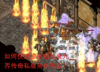如何快速提升新仙魔九界传奇私服角色等级? 如何快速提升新仙魔九界传奇私服角色等级?