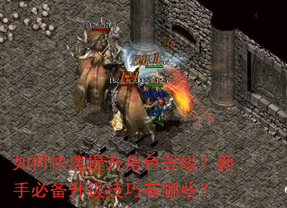 如何快速提升角色等级?新手必备升级技巧有哪些? 如何快速提升角色等级?新手必备升级技巧有哪些?