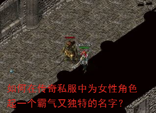 如何在传奇私服中为女性角色起一个霸气又独特的名字? 如何在传奇私服中为女性角色起一个霸气又独特的名字?