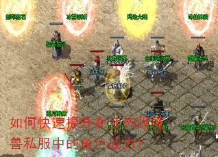 如何快速提升在变态版魔兽私服中的角色战力? 如何快速提升在变态版魔兽私服中的角色战力?