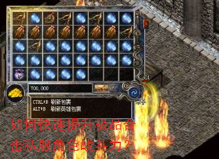 如何快速提升极品合击私服角色战斗力? 如何快速提升极品合击私服角色战斗力?