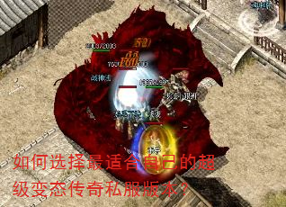 如何选择最适合自己的超级变态传奇私服版本? 如何选择最适合自己的超级变态传奇私服版本?