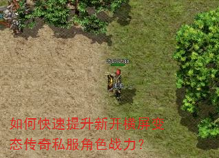 如何快速提升新开横屏变态传奇私服角色战力? 如何快速提升新开横屏变态传奇私服角色战力?