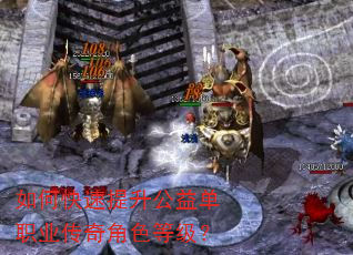 如何快速提升公益单职业传奇角色等级? 如何快速提升公益单职业传奇角色等级?