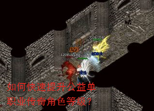 如何快速提升公益单职业传奇角色等级? 如何快速提升公益单职业传奇角色等级?